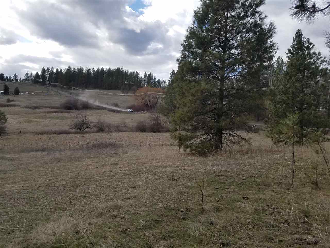 21400 North Madison Road Mead, WA 99021 - Photo 5 of 20