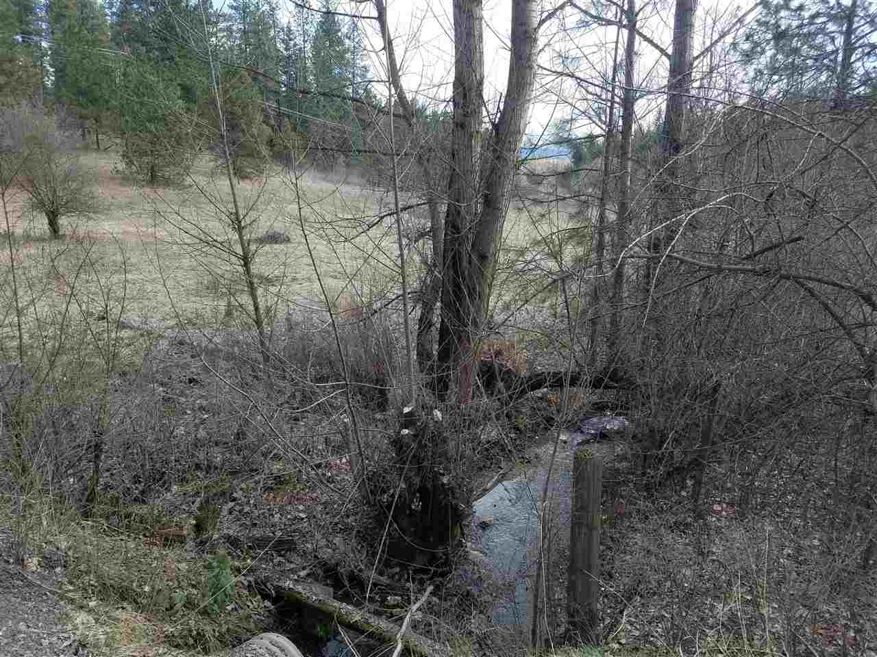 21400 North Madison Road Mead, WA 99021 - Photo 6 of 20
