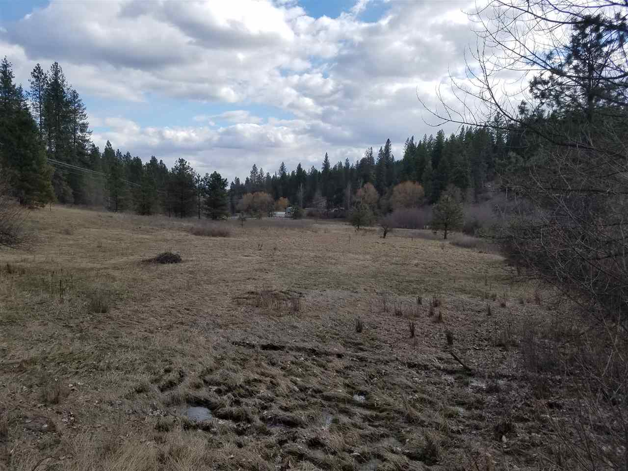 21400 North Madison Road Mead, WA 99021 - Photo 8 of 20