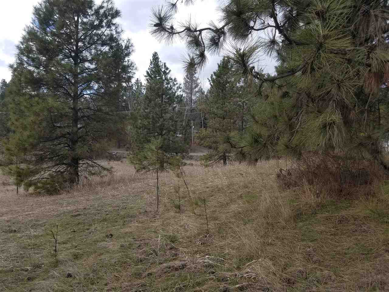 21400 North Madison Road Mead, WA 99021 - Photo 9 of 20