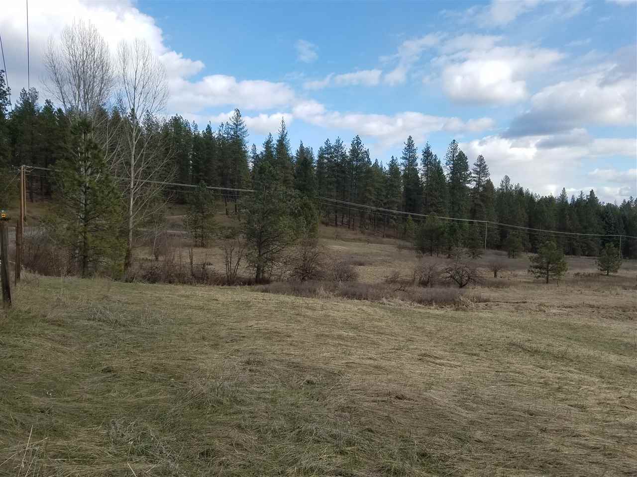 21400 North Madison Road Mead, WA 99021 - Photo 10 of 20