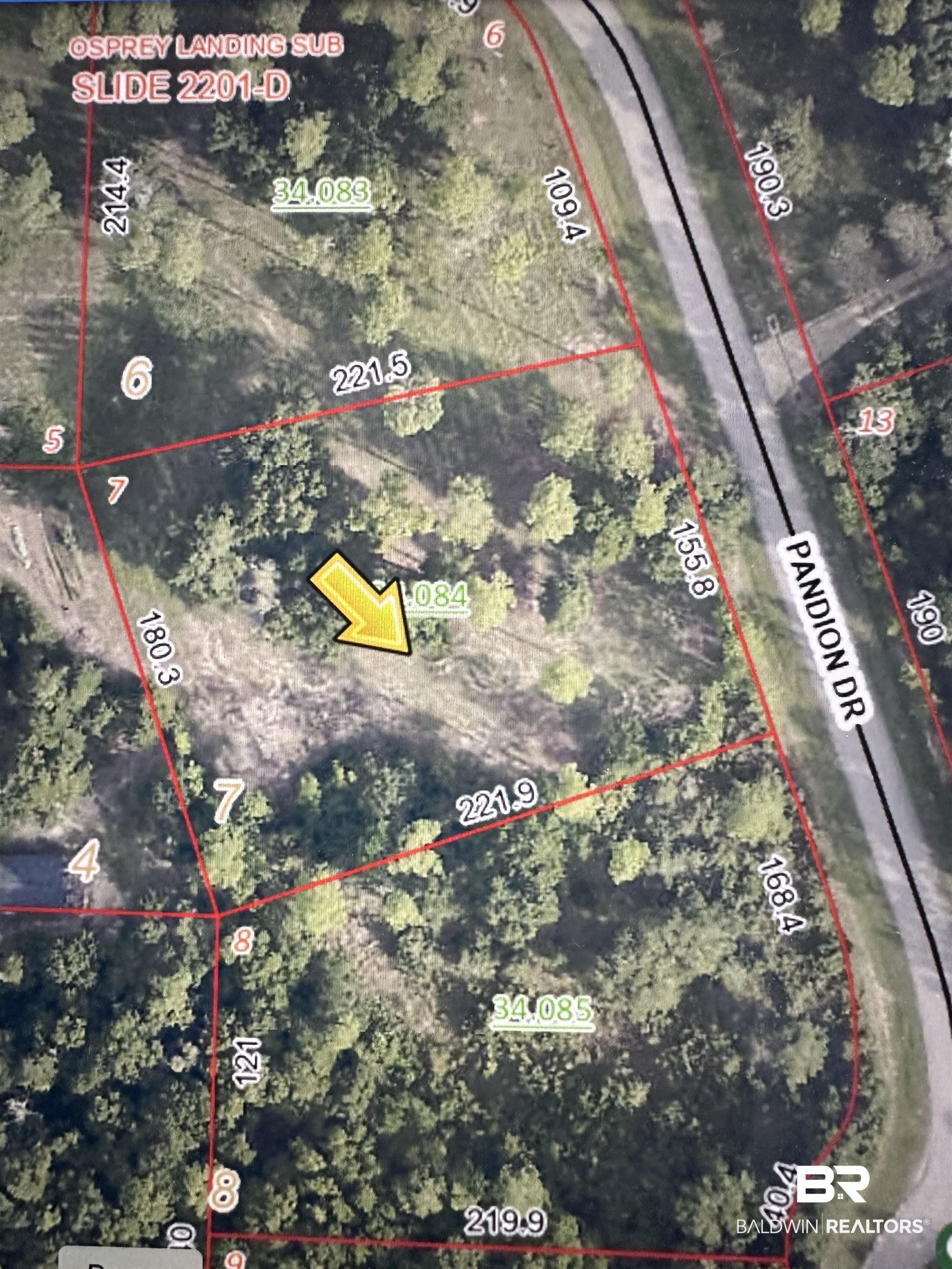 Pandion Drive Foley, AL 36535 - Photo 1 of 9 Aerial view of property's location with property boundaries highlighted