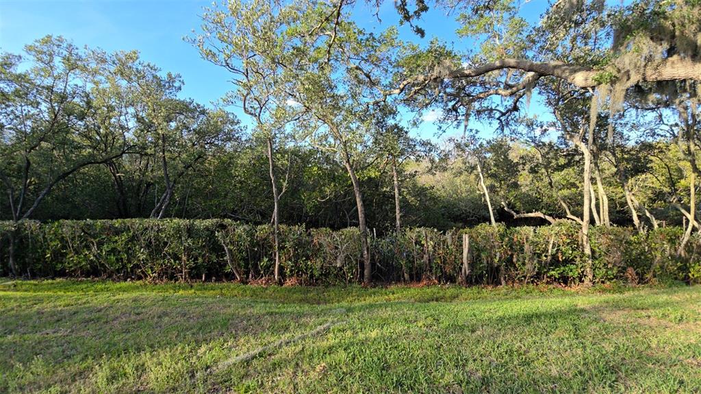 4849 Onyx Lane, Unit 101 New Port Richey, FL 34652 - Photo 14 of 14