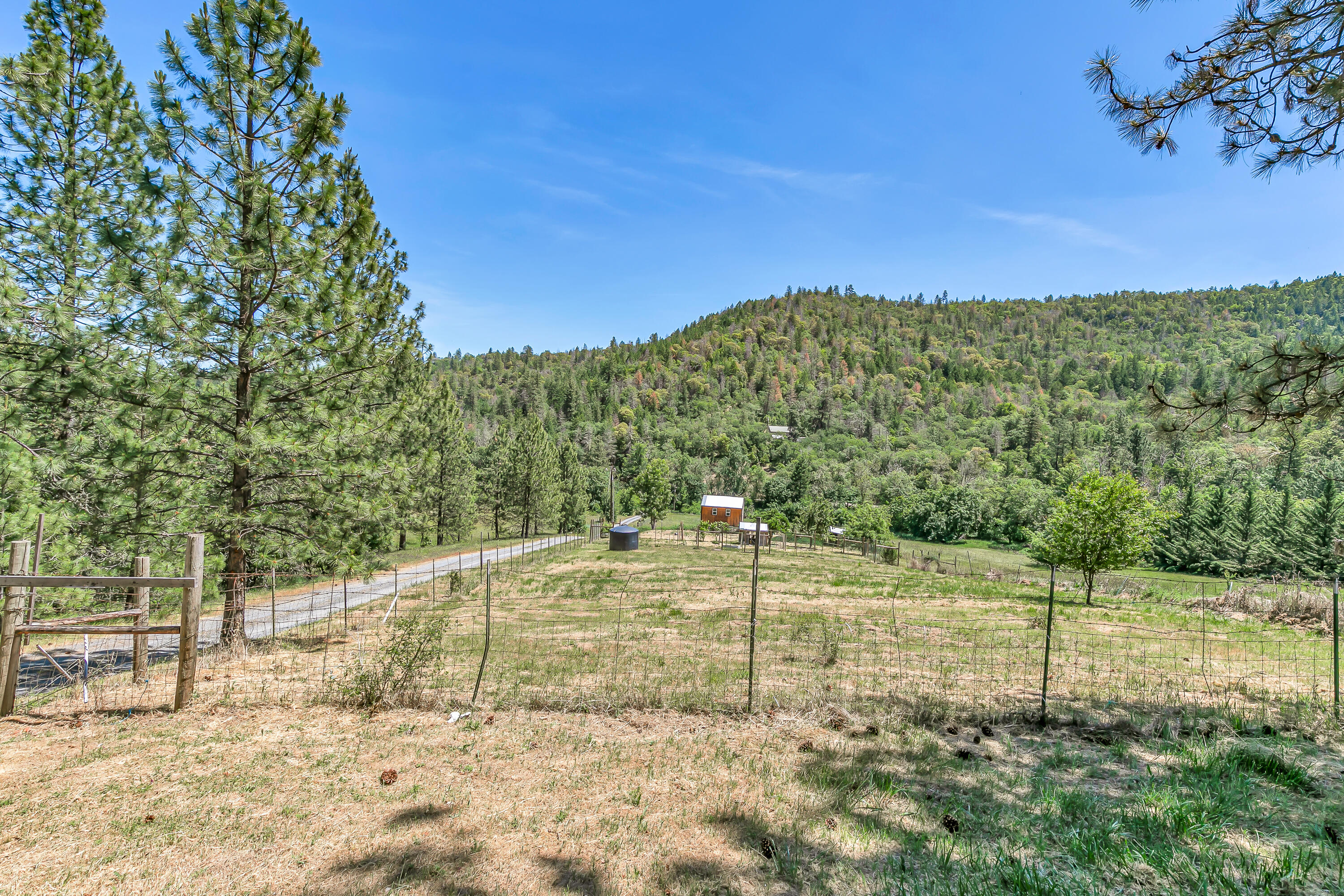 4780 Andrews Road Medford, OR 97501 - Photo 41 of 47 Back Yard & Pastures