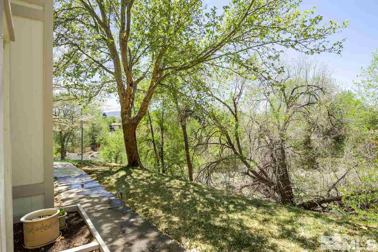 1235 Conway Lane Reno, NV 89503 - Photo 36 of 37 a view of a yard with plants and trees
