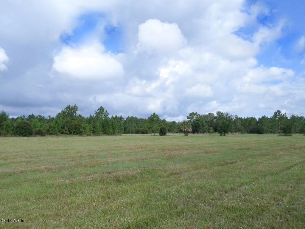 148 Northeast 130th Court Road Fort McCoy, FL 32134 - Photo 1 of 1 1-148ac (15)