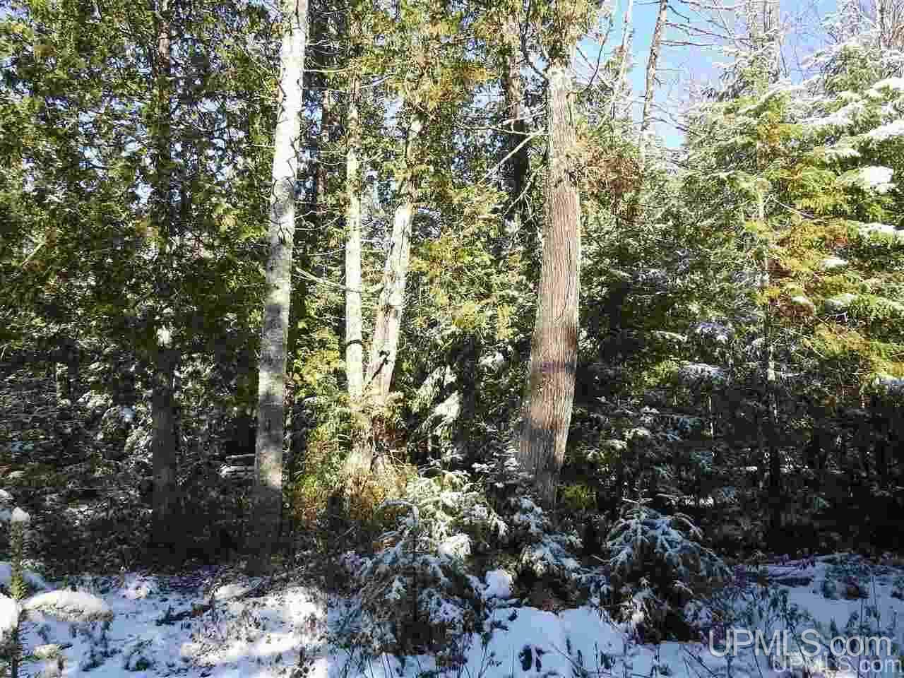 Tbd East H-58 Road Grand Marais, MI 49839 - Photo 9 of 18 Gallery Image 9