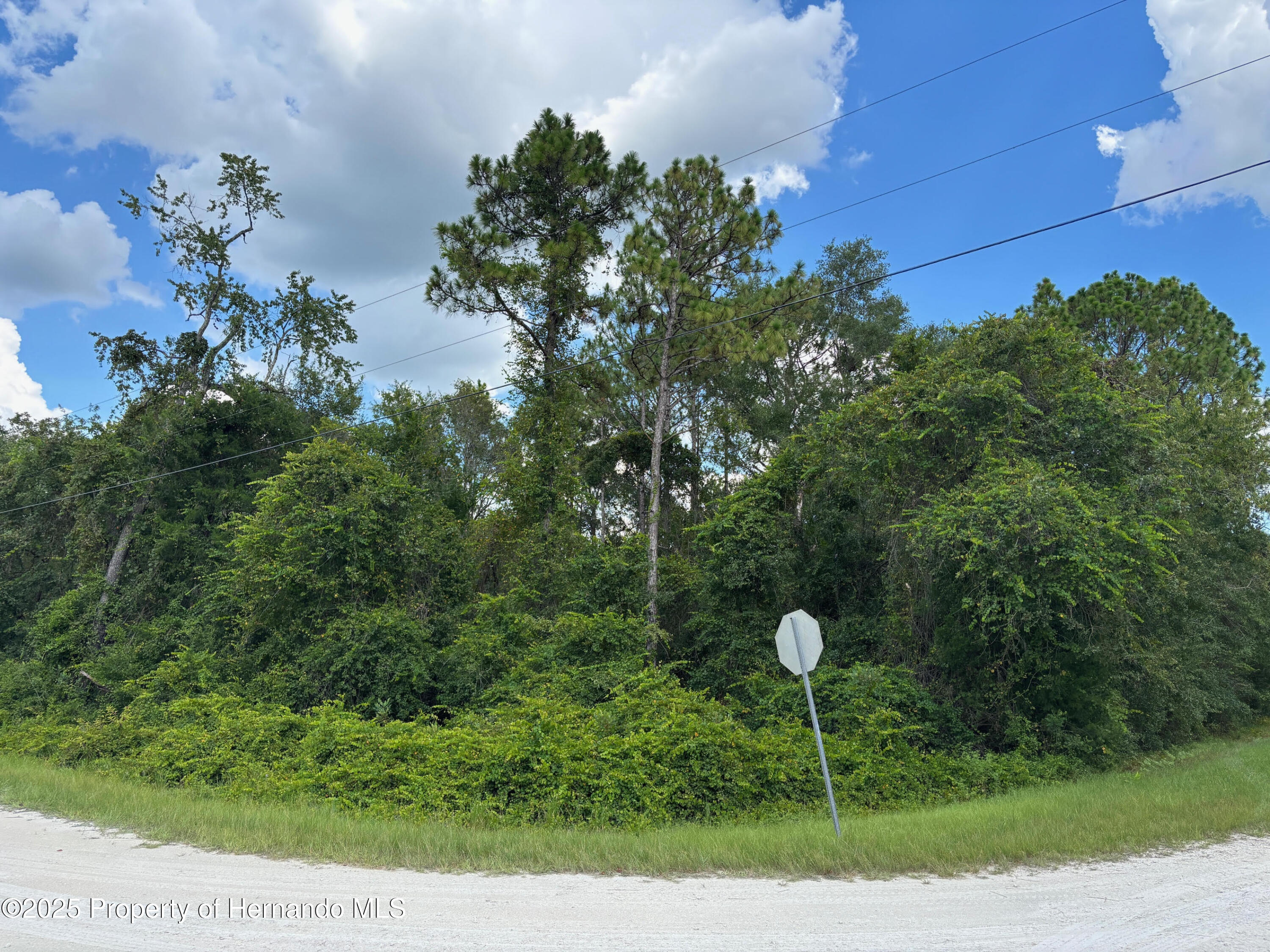 Lot 1 Canvasback Road Weeki Wachee, FL 34614 - Photo 2 of 11