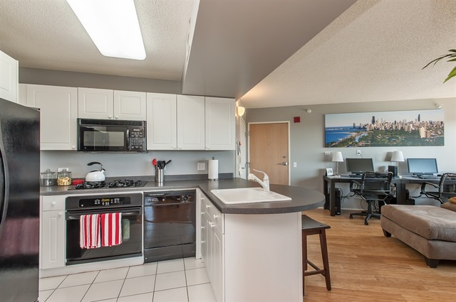 1720 Maple Avenue, Unit 2670 Evanston, IL 60201 - Photo 4 of 12