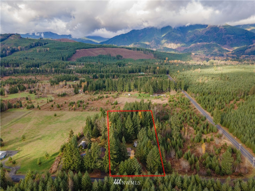 112 Falls Road Randle, WA 98377 - Photo 3 of 22 Gallery Image 3