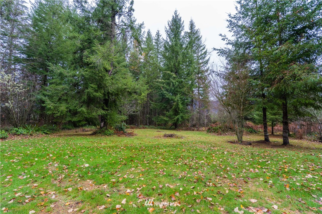 112 Falls Road Randle, WA 98377 - Photo 22 of 22 Gallery Image 22