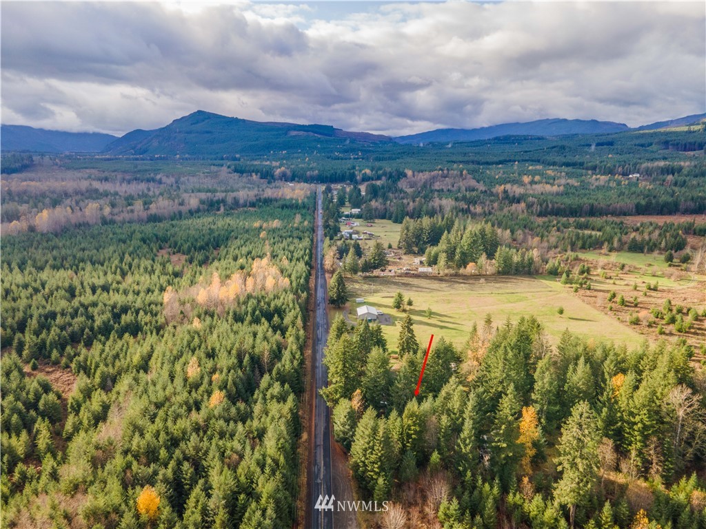 112 Falls Road Randle, WA 98377 - Photo 4 of 22 Gallery Image 4