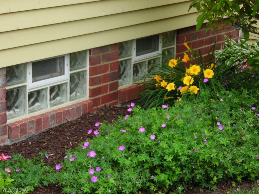 1127 Richmond Road Cleveland, OH 44124 - Photo 18 of 25 Gallery Image 18