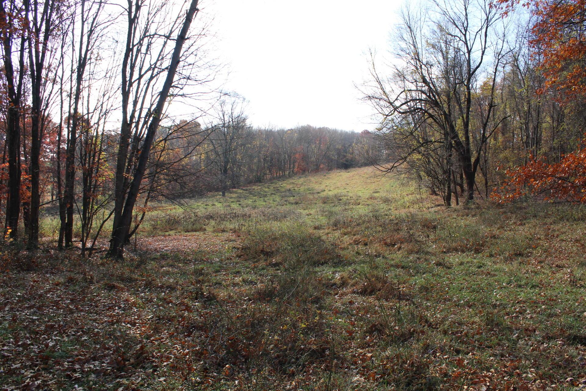 0 Beal Road Southeast, Unit TRACT 4 Newark, OH 43056 - Photo 46 of 48 IMG_6300