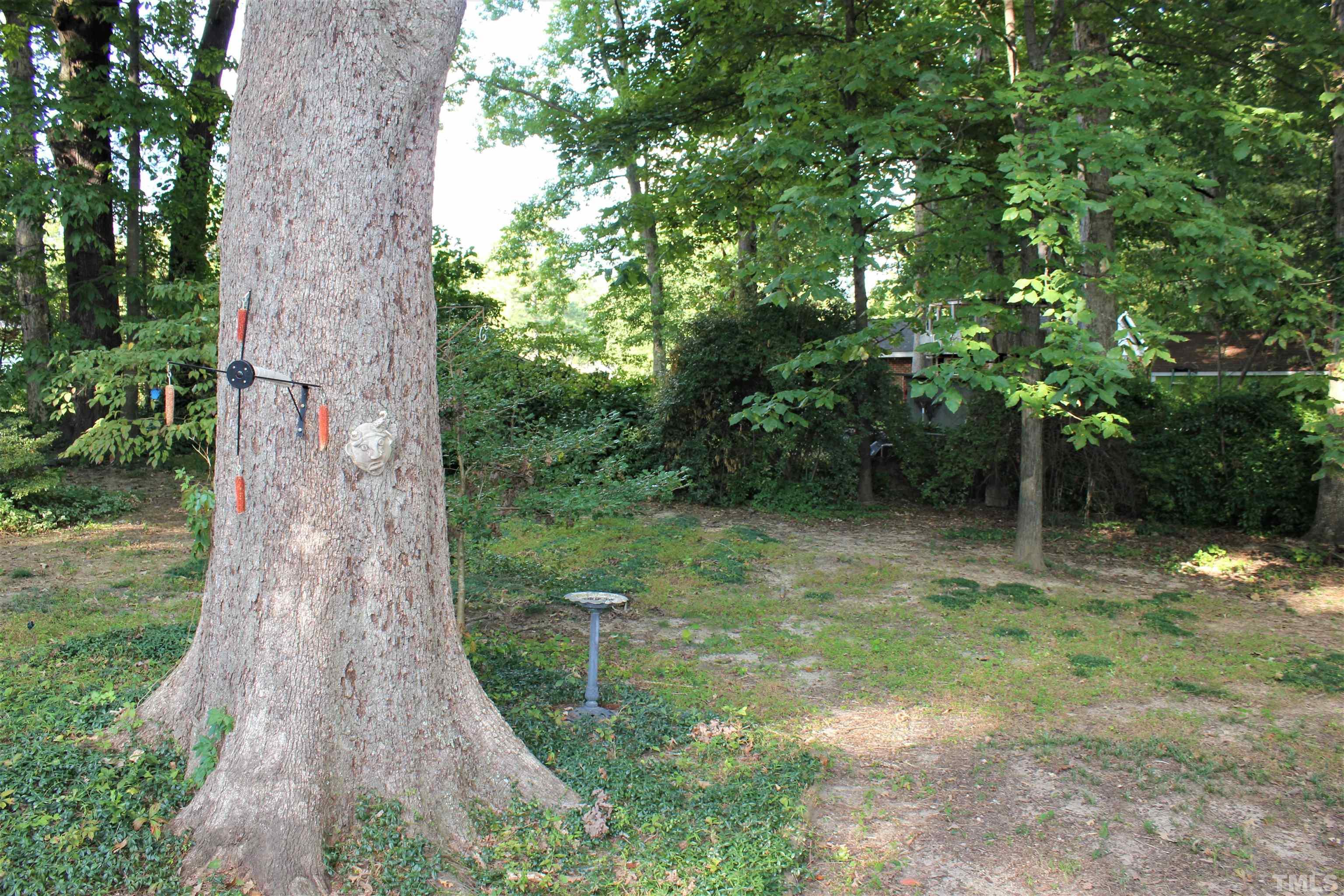3205 Fairforest Place Raleigh, NC 27604 - Photo 6 of 28 a view of a garden