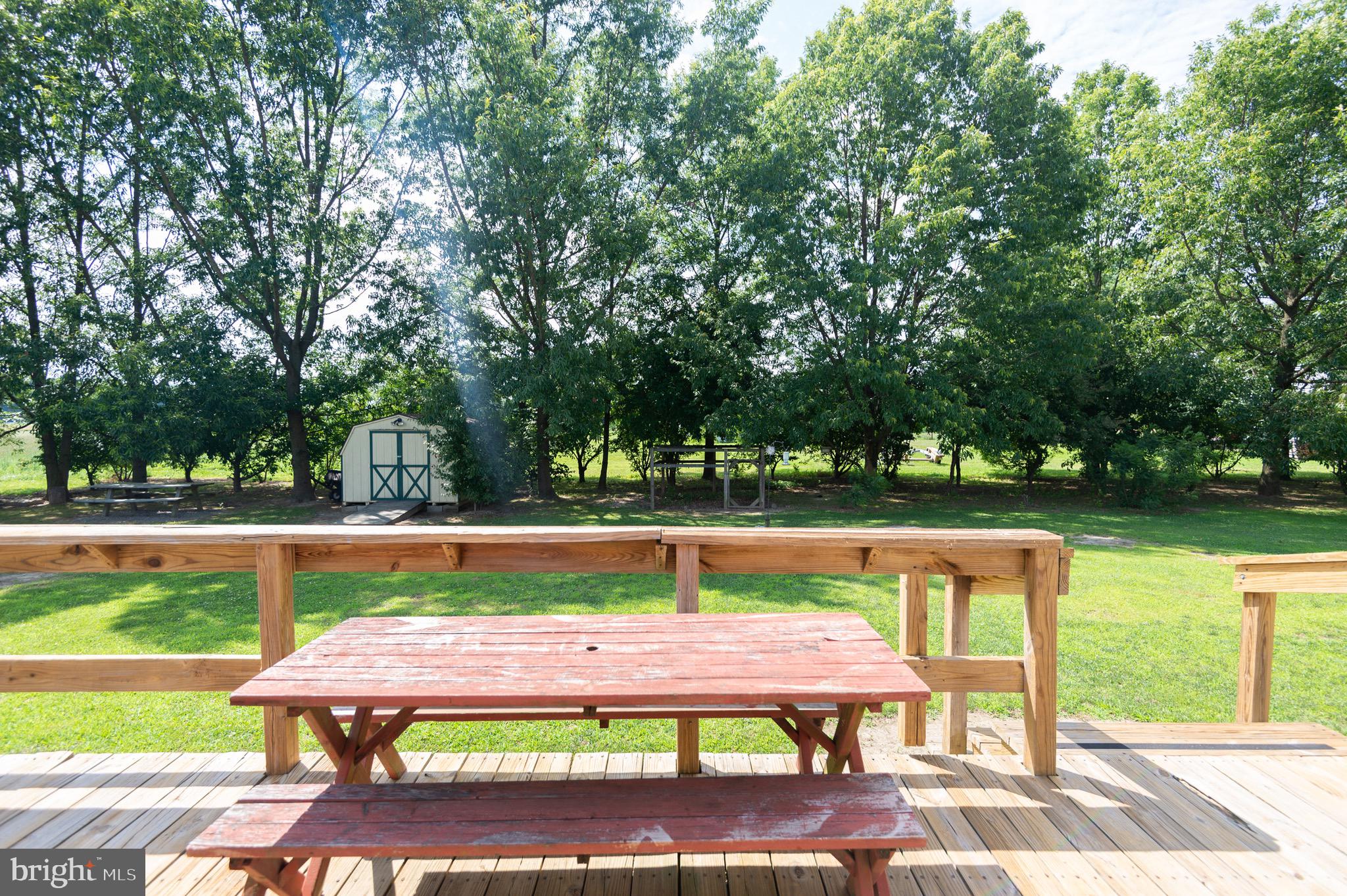 11688 Holly Road Ridgely, MD 21660 - Photo 26 of 37 Gallery Image 26