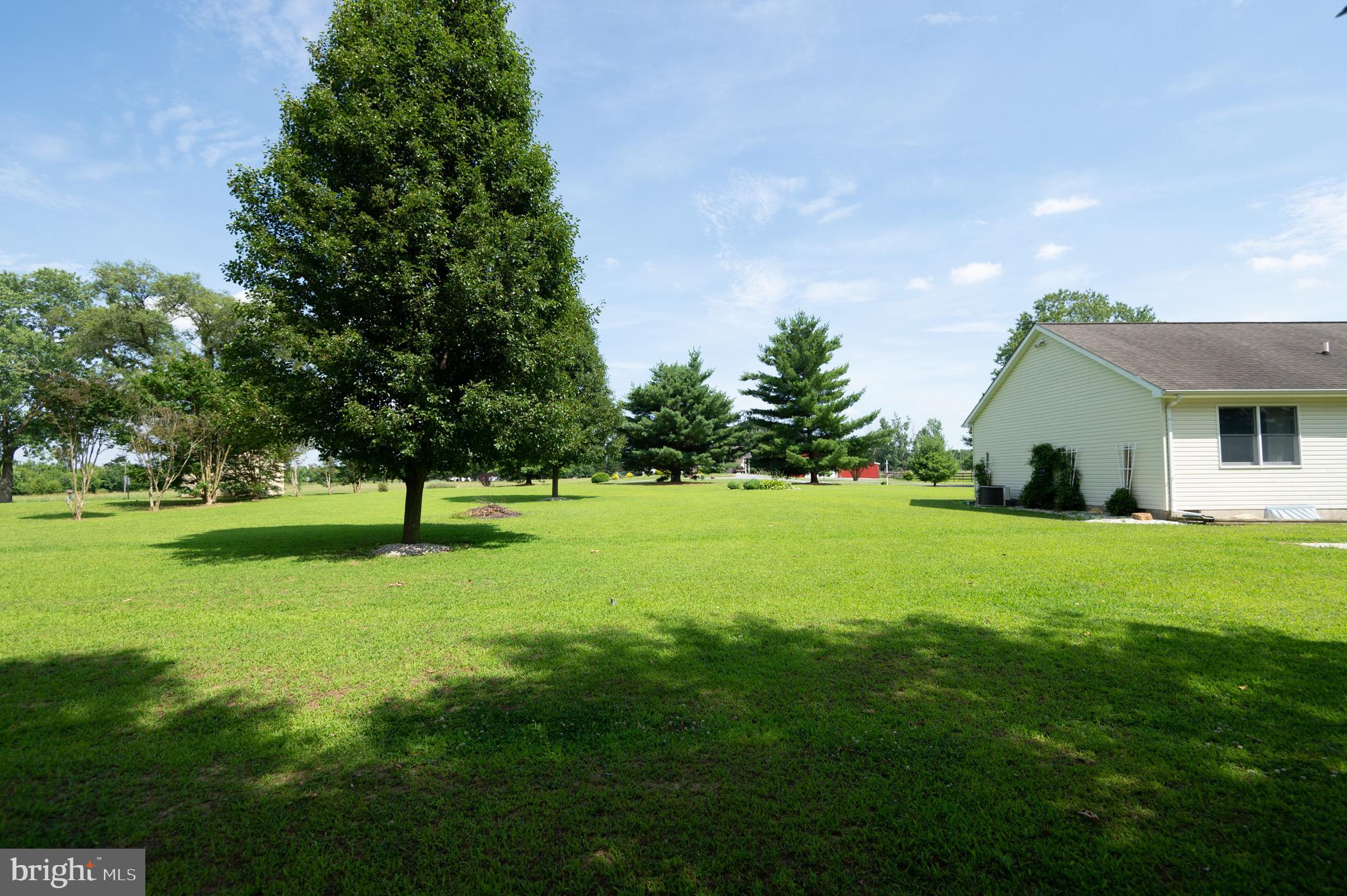 11688 Holly Road Ridgely, MD 21660 - Photo 34 of 37 Gallery Image 34