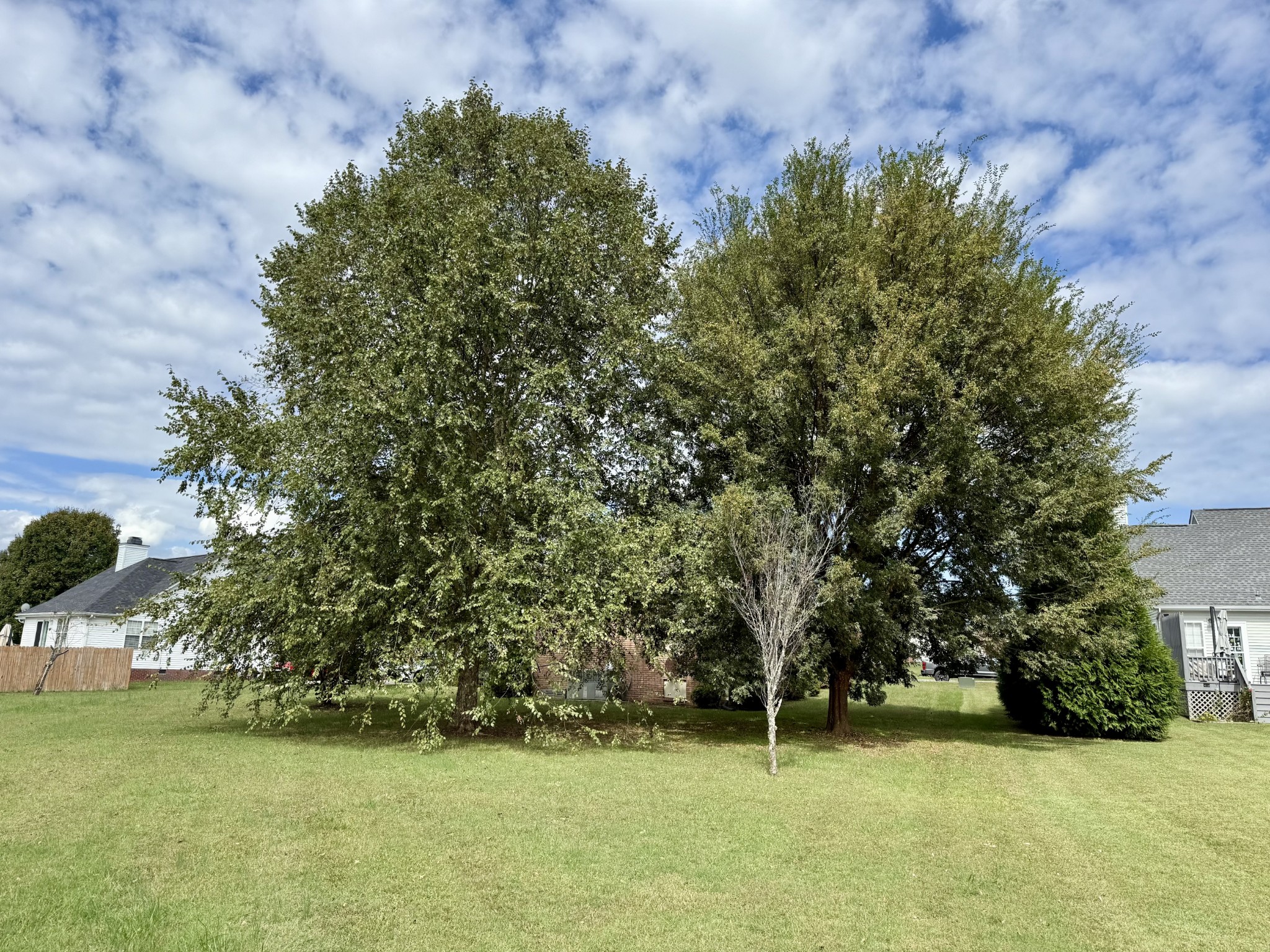 125 Maple Ridge Court McMinnville, TN 37110 - Photo 43 of 44 a view of yard with swimming pool and green space
