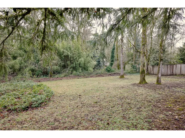 a view of a yard with a tree