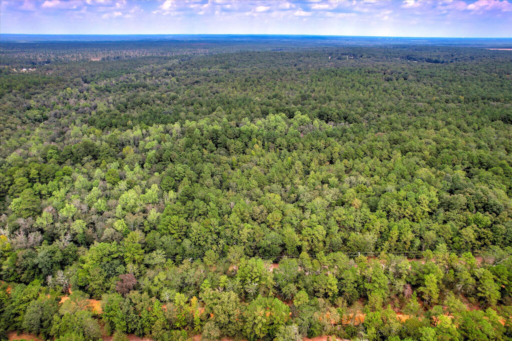 001 A Centerwood Road Williston, SC 29853 - Photo 9 of 19