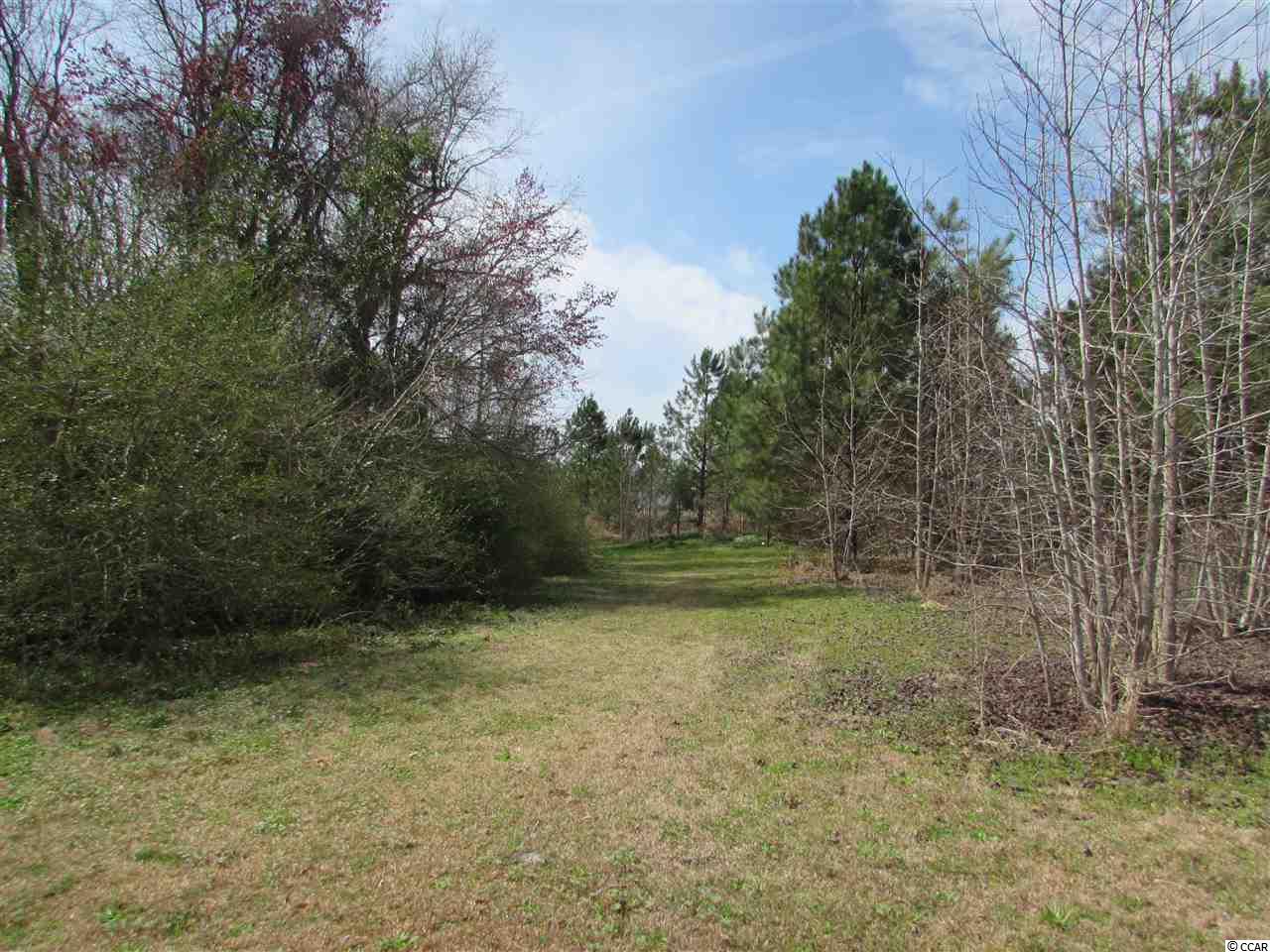 3338 Carter Road Loris, SC 29569 - Photo 14 of 25 Gallery Image 14