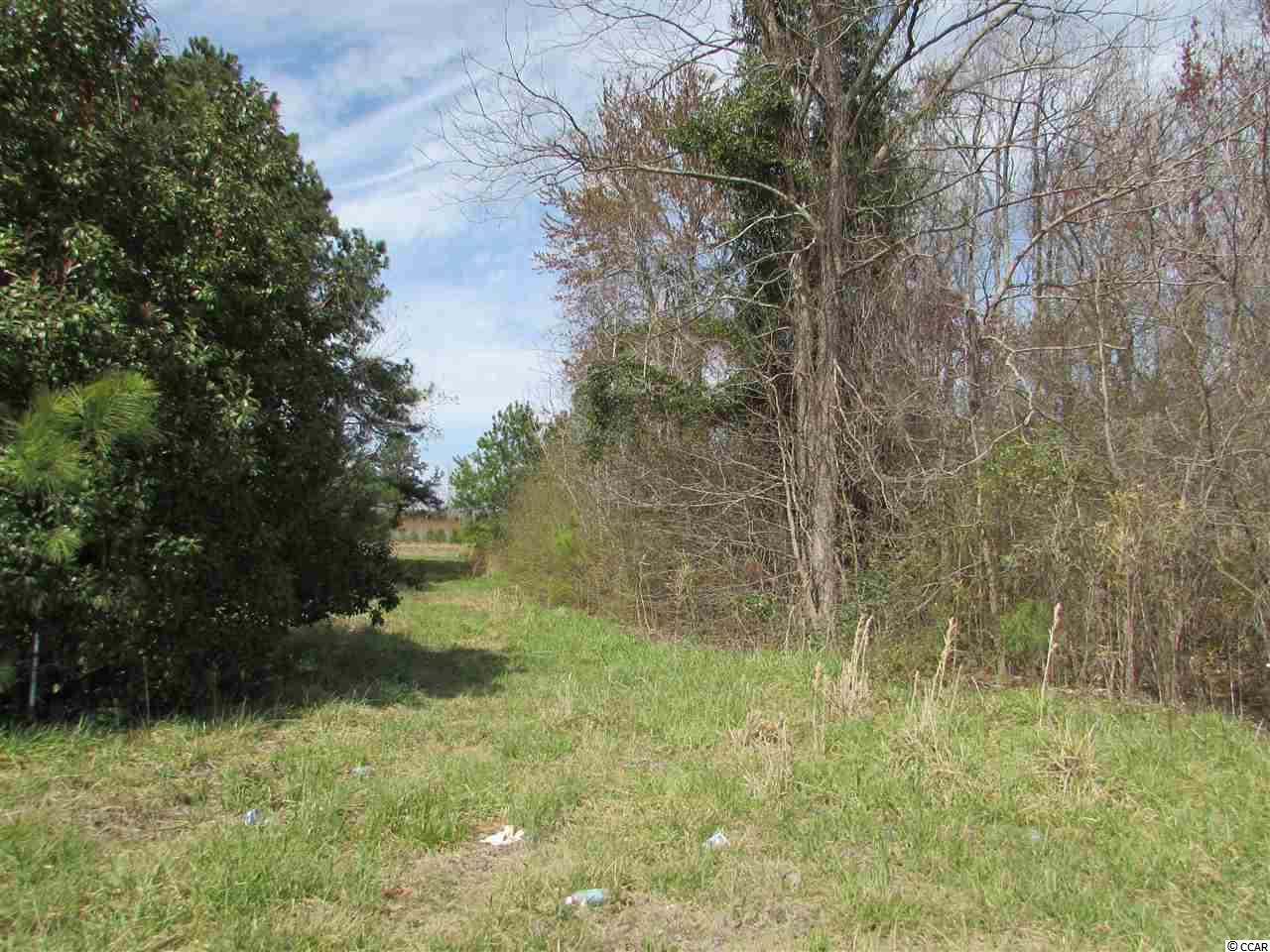 3338 Carter Road Loris, SC 29569 - Photo 22 of 25 Gallery Image 22