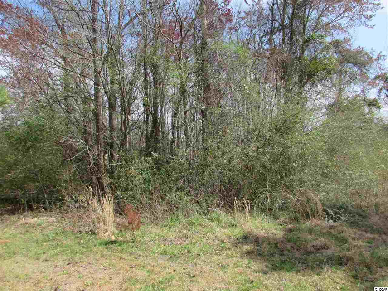 3338 Carter Road Loris, SC 29569 - Photo 8 of 25 Gallery Image 8