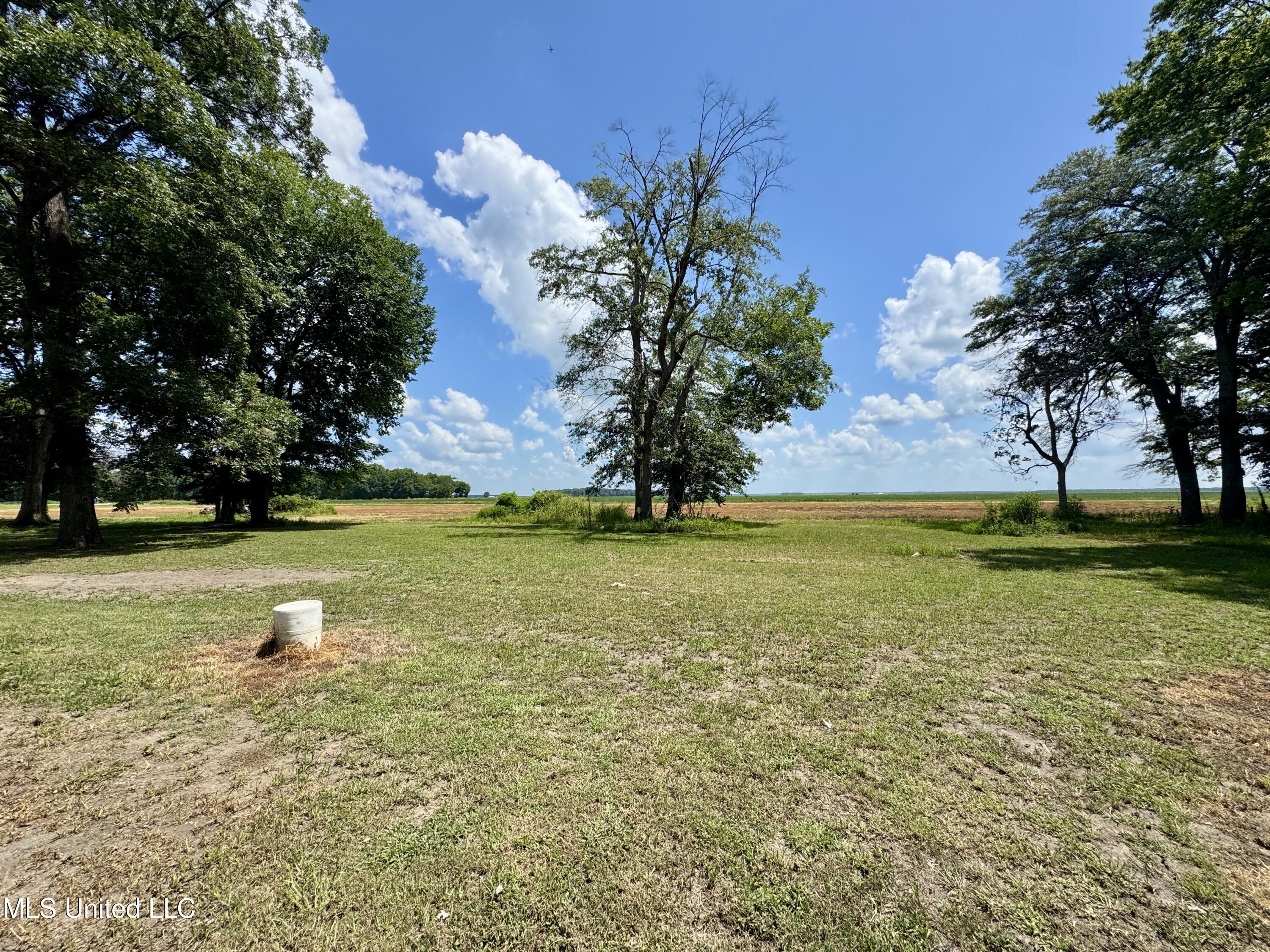 501 Preston Street Benoit, MS 38725 - Photo 22 of 25 IMG_3484