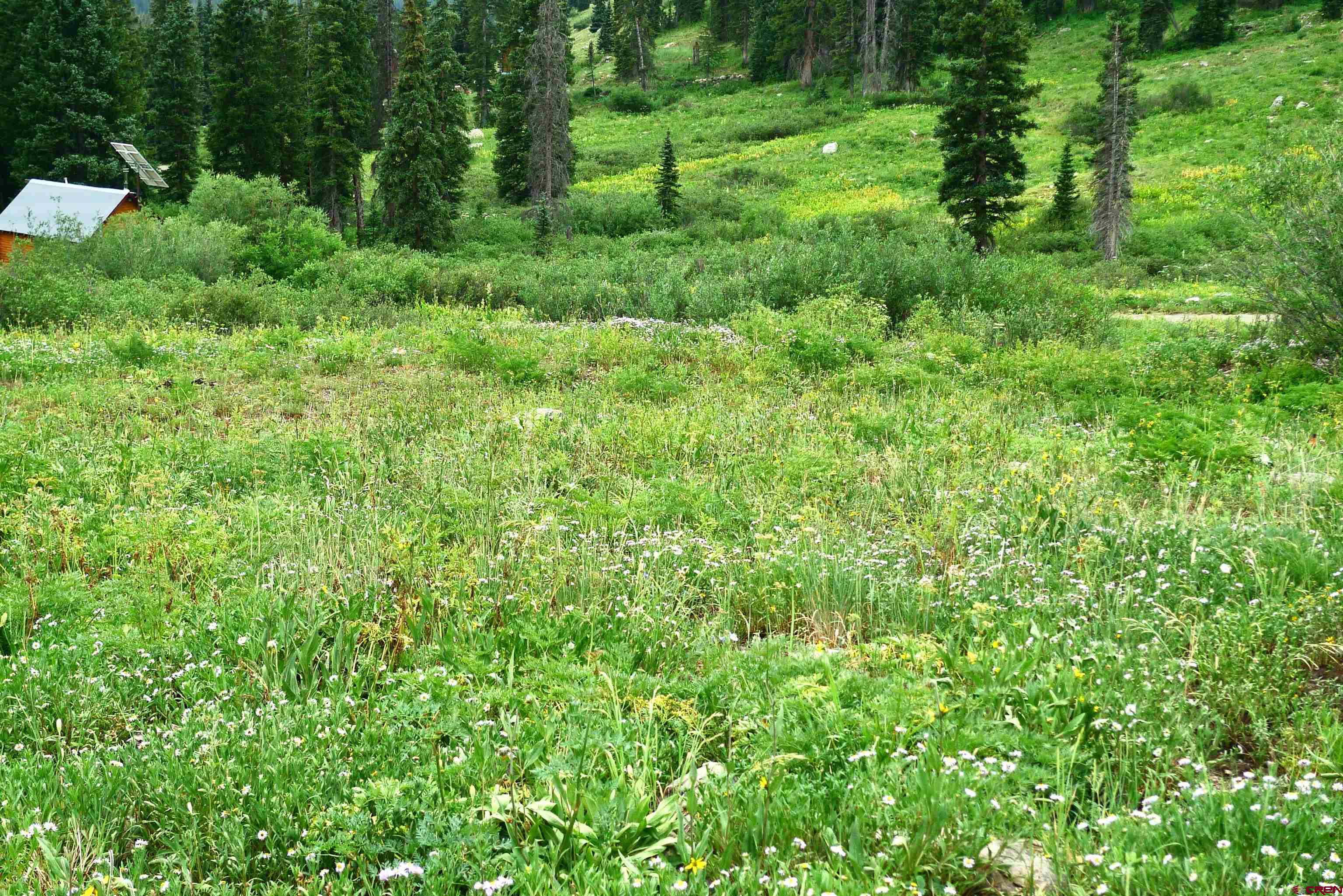 9th & 10th (irwin) Street Crested Butte, CO 81224 - Photo 1 of 14 a view of a lush green forest