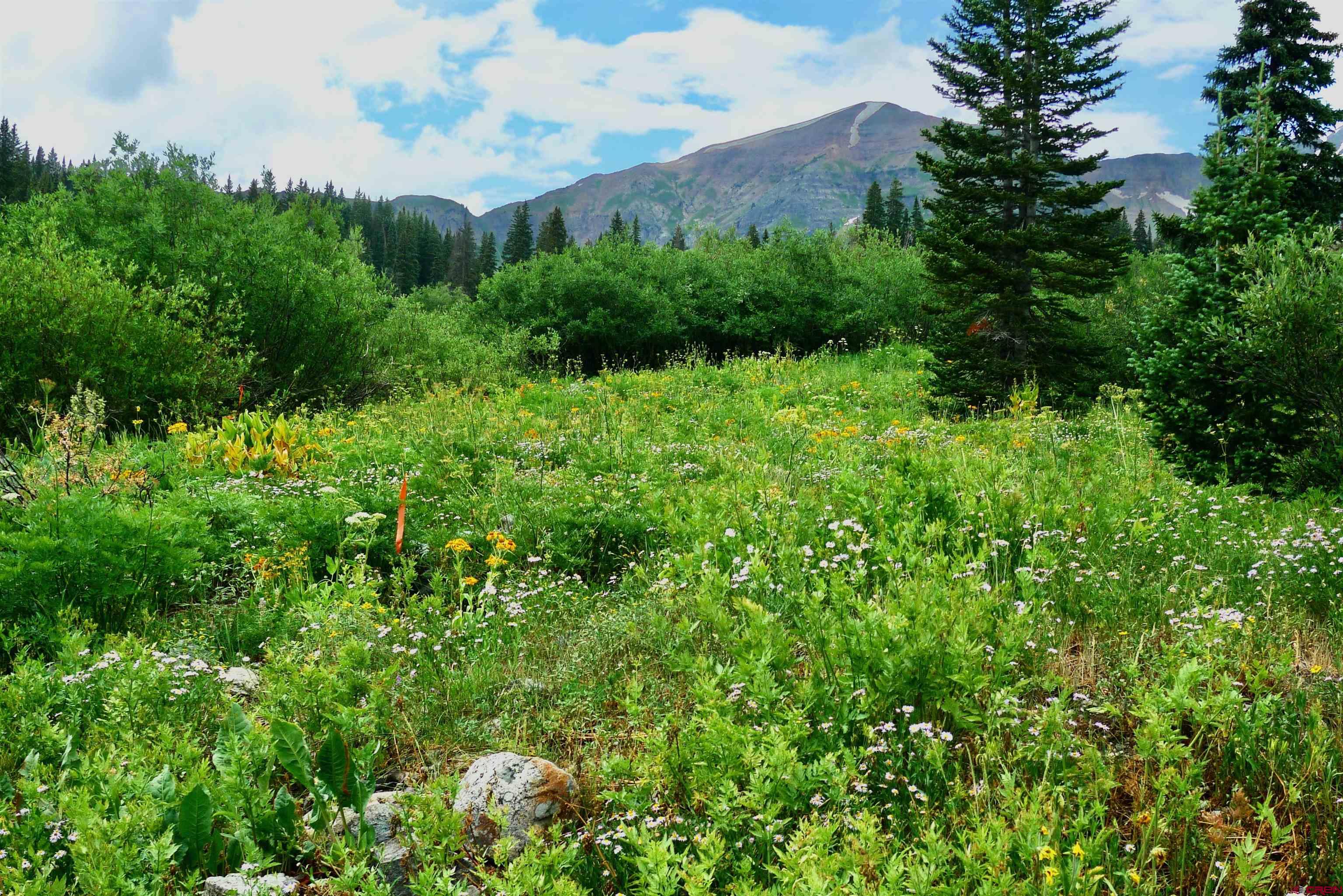 9th & 10th (irwin) Street Crested Butte, CO 81224 - Photo 14 of 14 a view of a garden