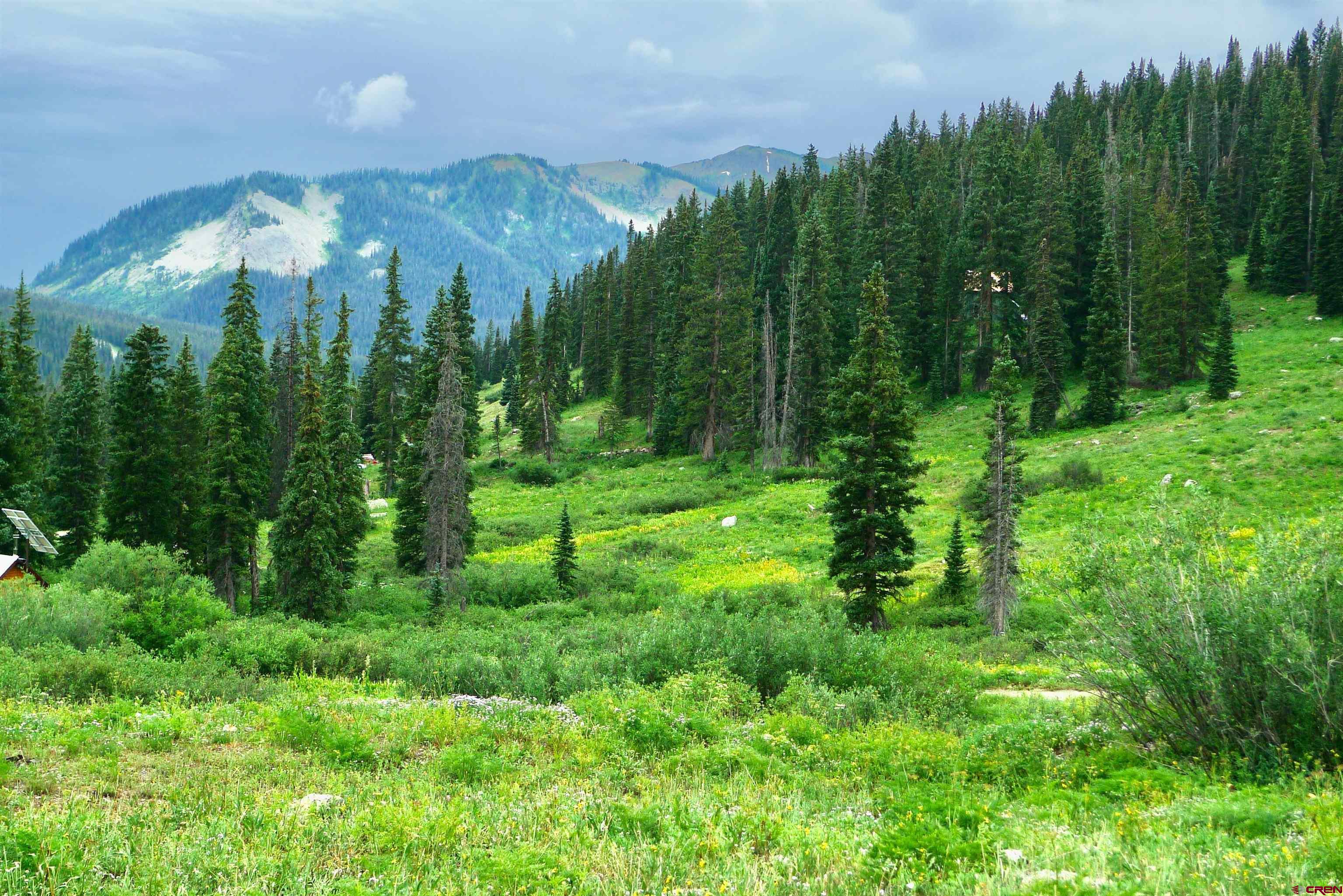 9th & 10th (irwin) Street Crested Butte, CO 81224 - Photo 3 of 14 a view of a lush green forest with lots of trees
