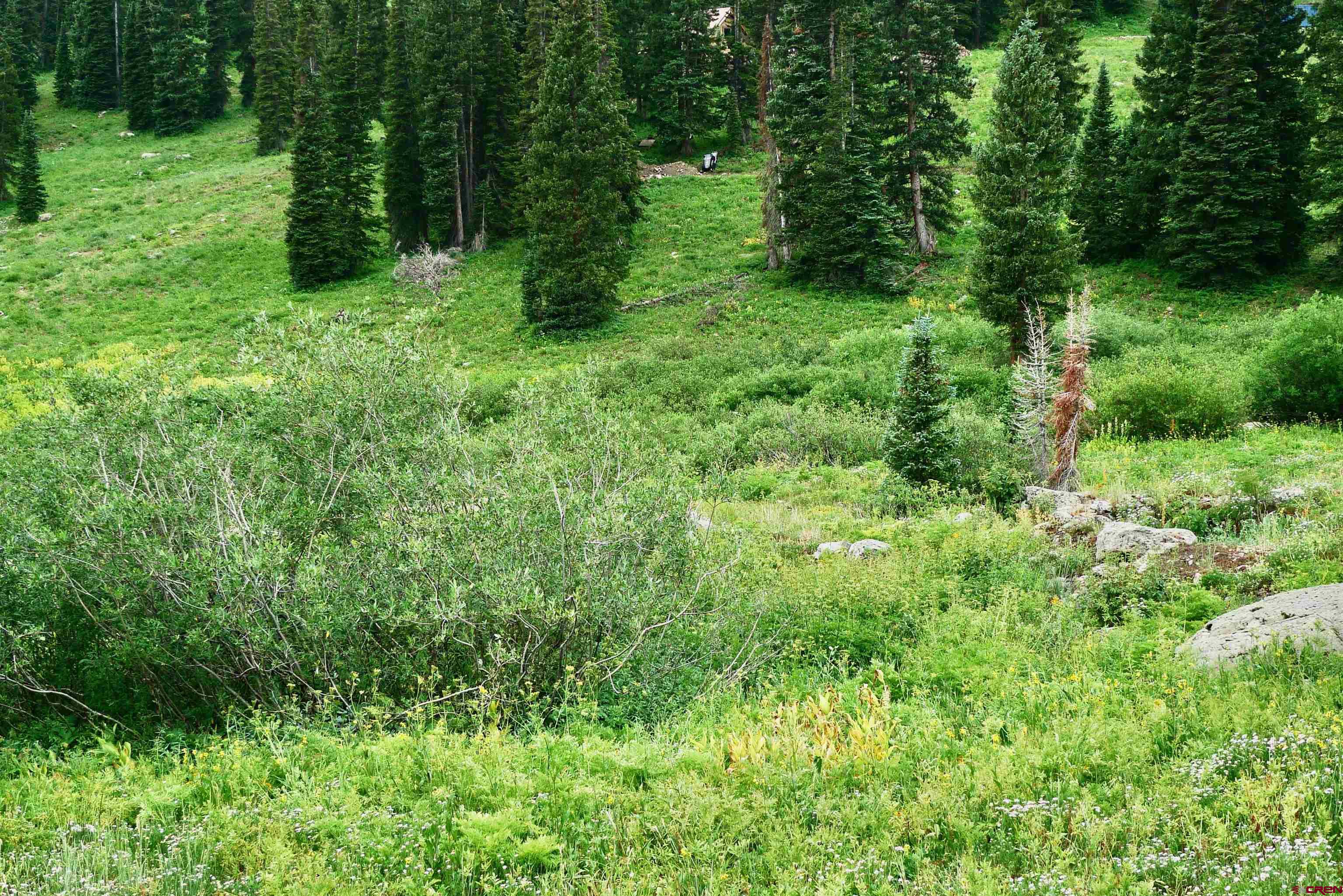 9th & 10th (irwin) Street Crested Butte, CO 81224 - Photo 4 of 14 a view of a lush green forest