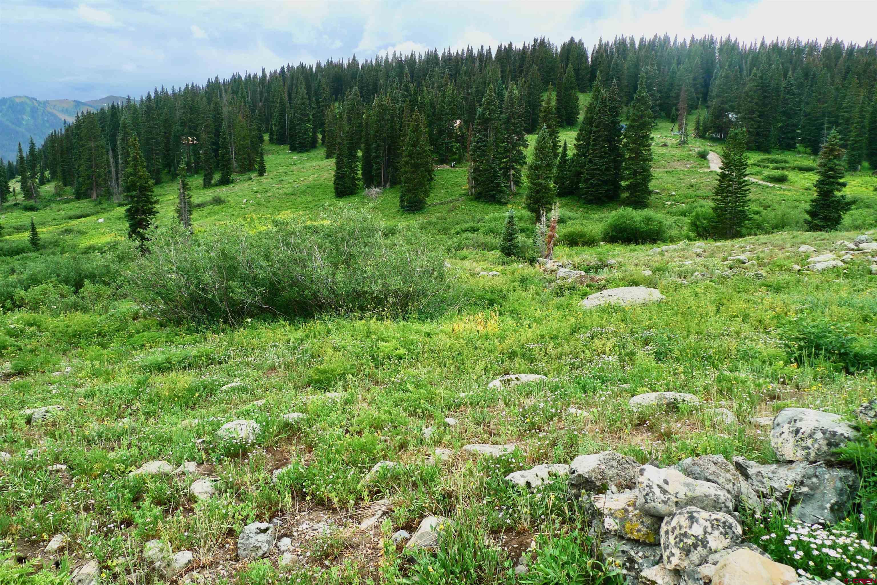 9th & 10th (irwin) Street Crested Butte, CO 81224 - Photo 5 of 14 a view of a lush green forest