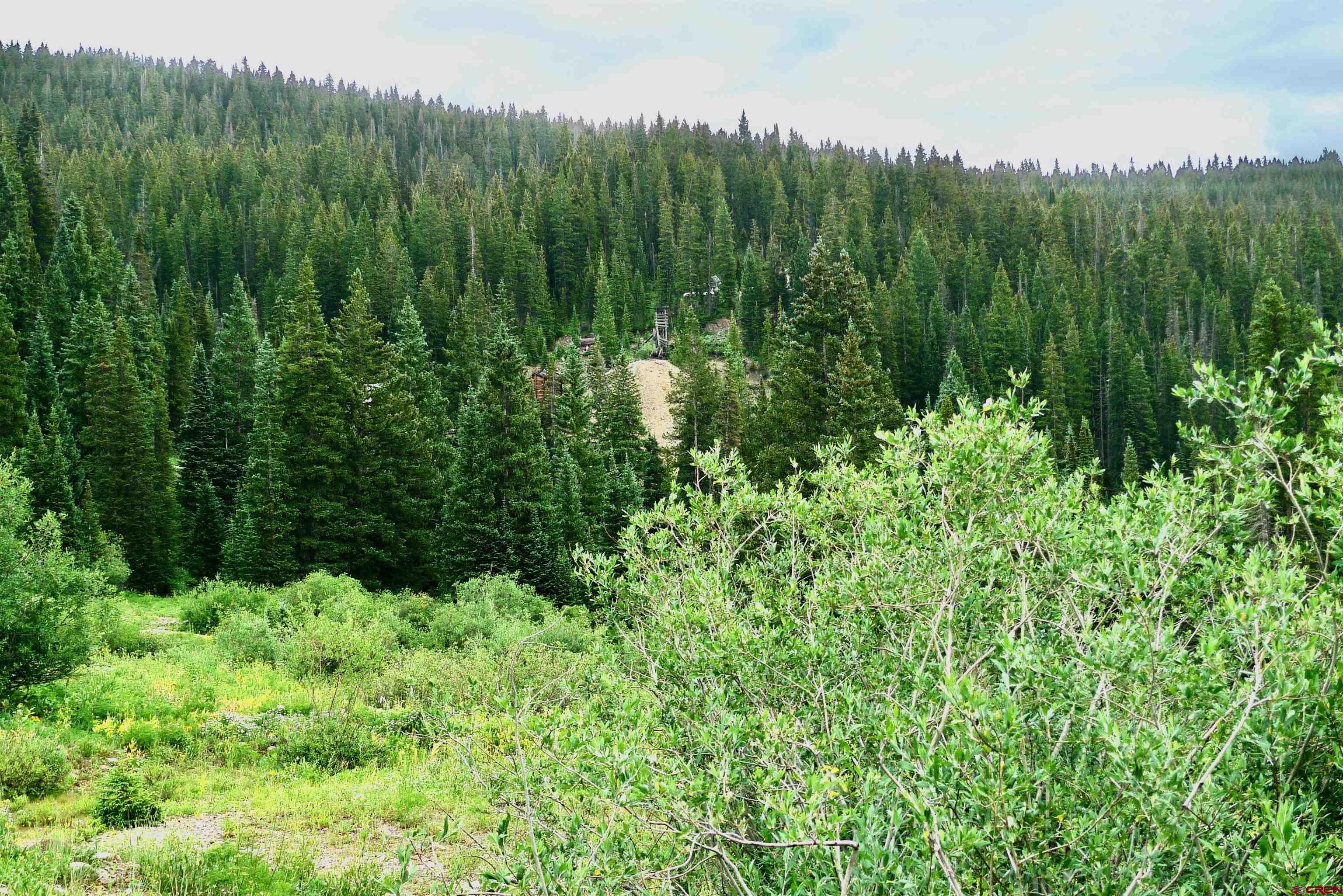 9th & 10th (irwin) Street Crested Butte, CO 81224 - Photo 9 of 14 a view of a lush green forest with trees in the background