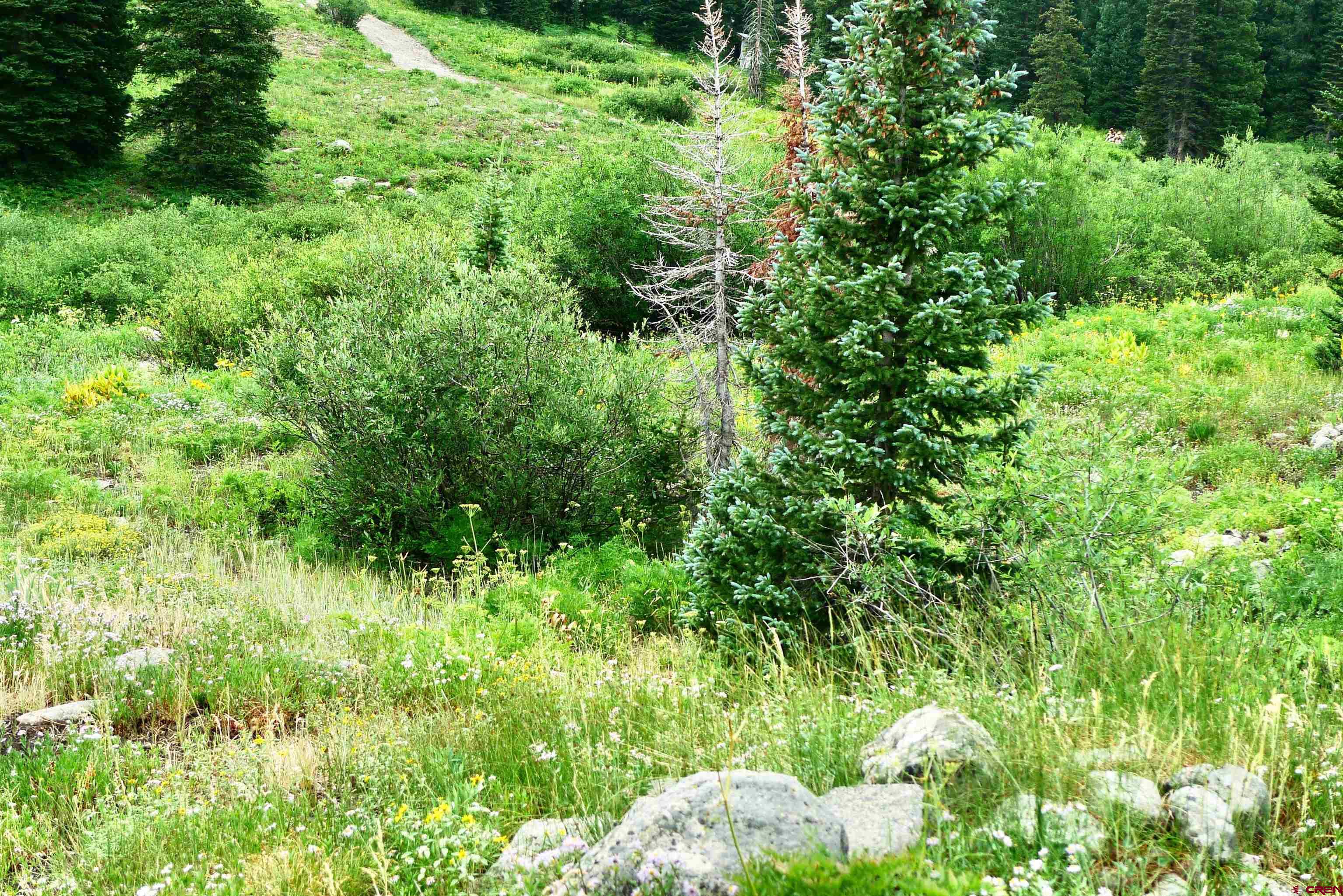 9th & 10th (irwin) Street Crested Butte, CO 81224 - Photo 10 of 14 a view of a garden