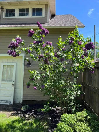 $350,000 | 65 South Howell Street, Hillsdale, MI 49242