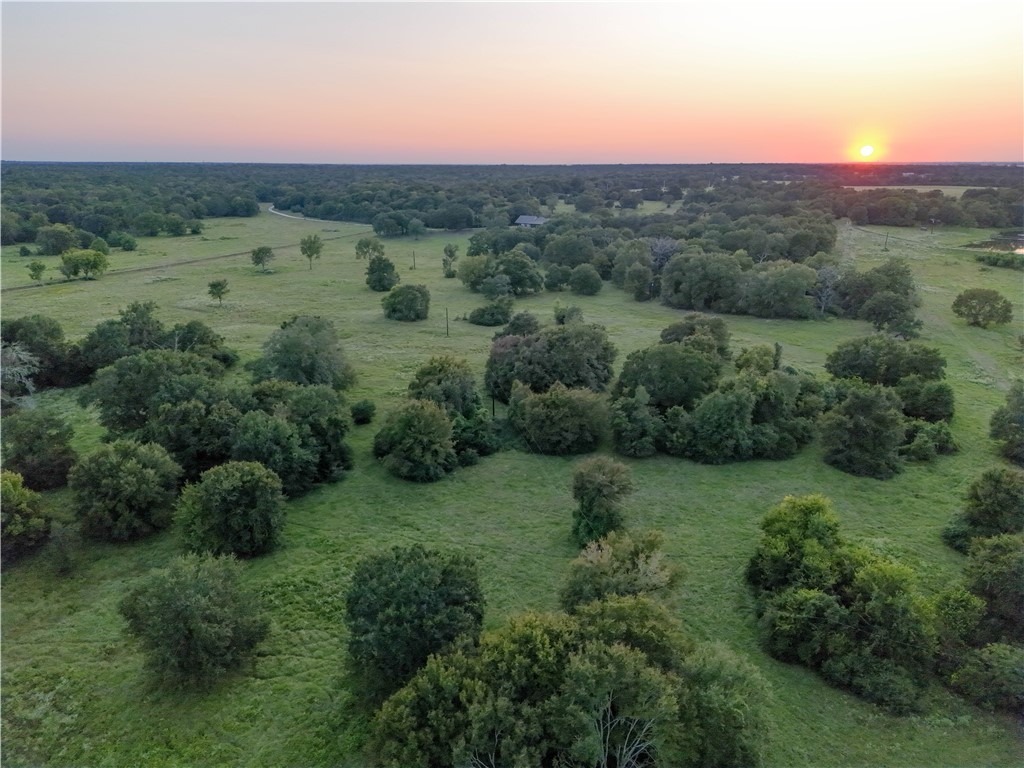 17497-495 Wilson Pasture Road Bryan, TX 77808 - Photo 13 of 50 an aerial view of green landscape with trees houses and mountain view
