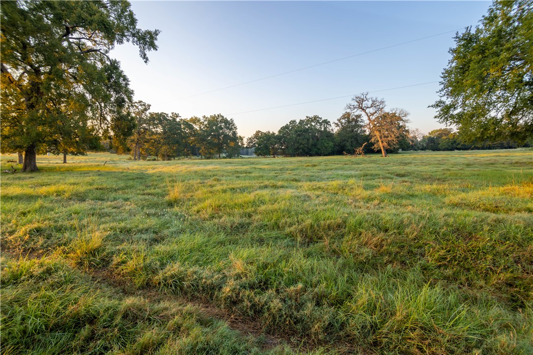 17497-495 Wilson Pasture Road Bryan, TX 77808 - Photo 36 of 50 a view of outdoor space and yard