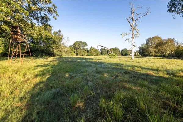 a view of an ocean and beach