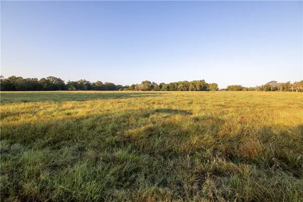a view of a field with an ocean