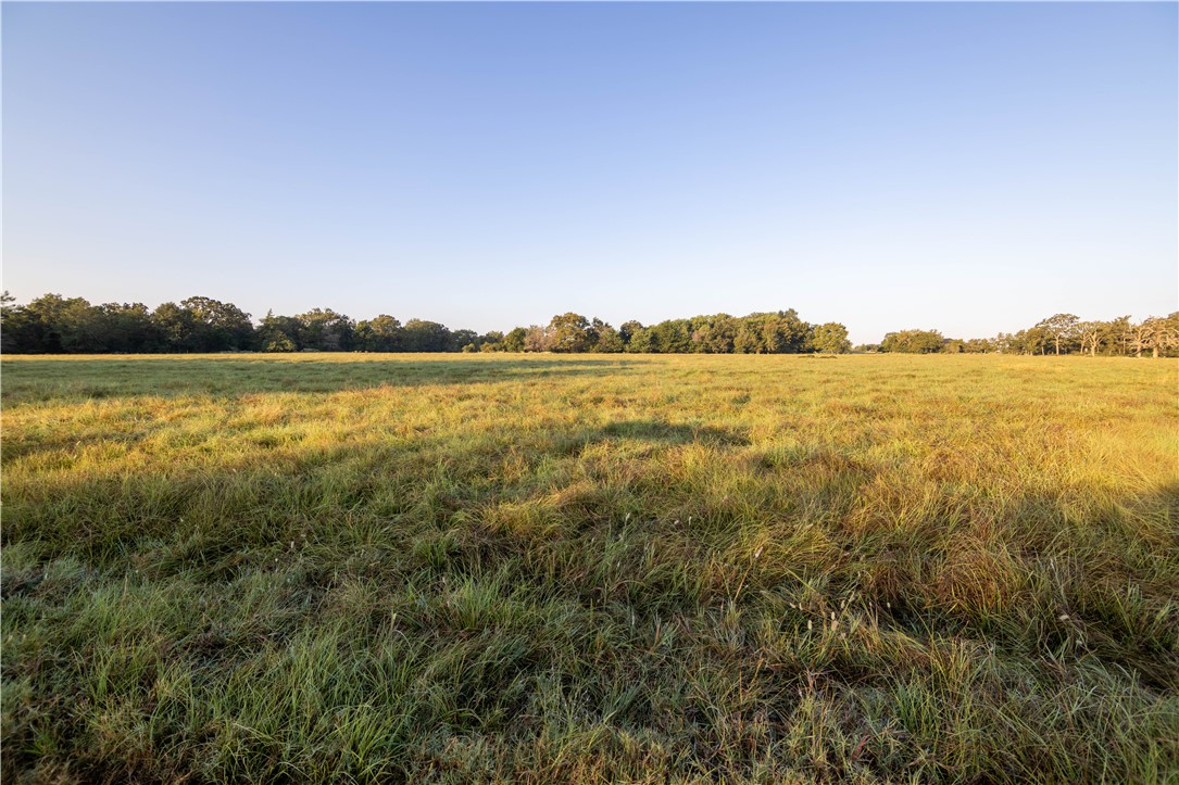 17497-495 Wilson Pasture Road Bryan, TX 77808 - Photo 41 of 50 a view of an ocean and beach