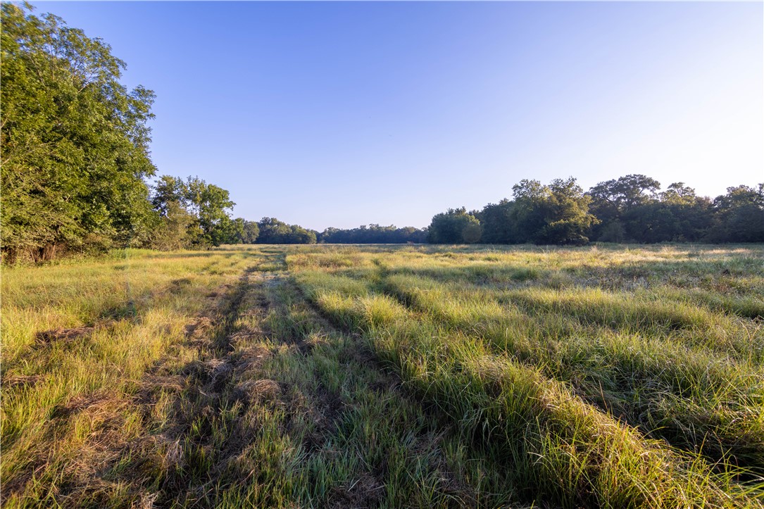 17497-495 Wilson Pasture Road Bryan, TX 77808 - Photo 44 of 50 a view of a field with an ocean