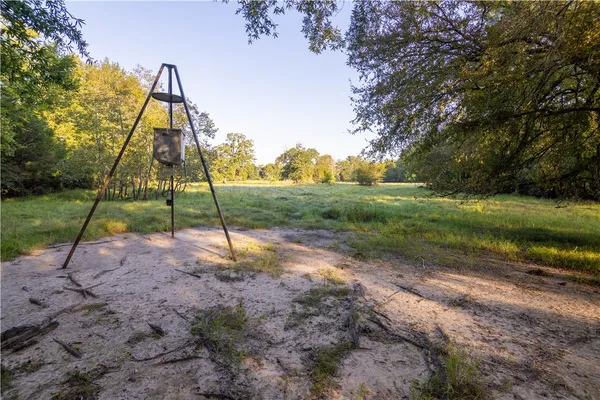 a view of a lake with a city