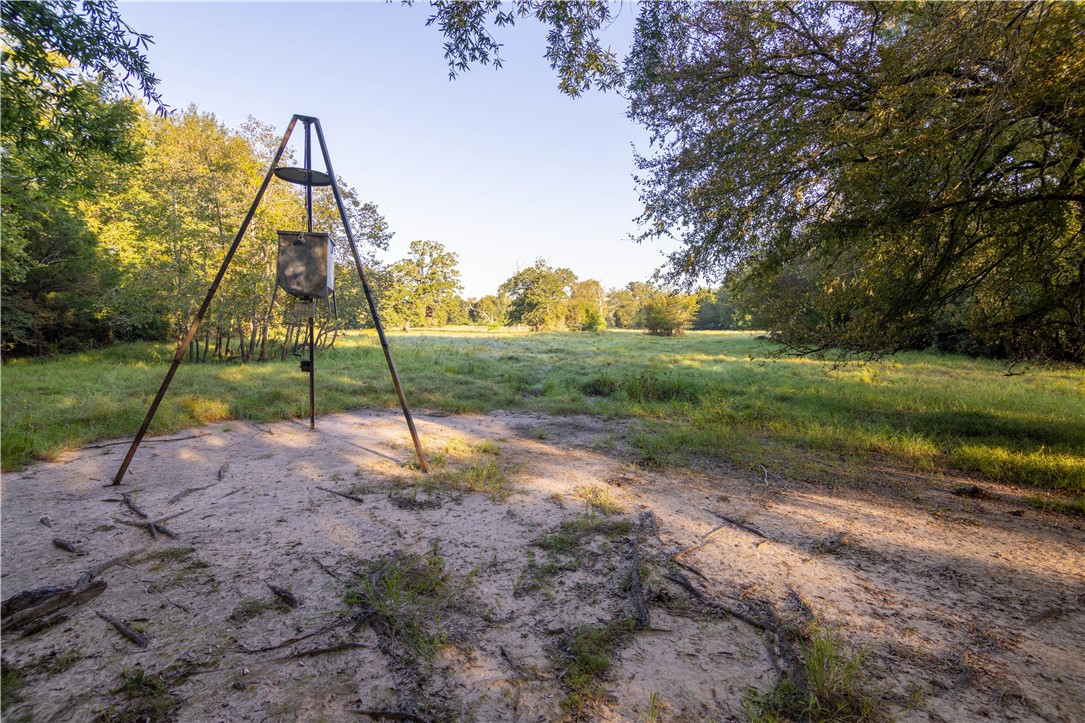 17497-495 Wilson Pasture Road Bryan, TX 77808 - Photo 46 of 50 a view of a park