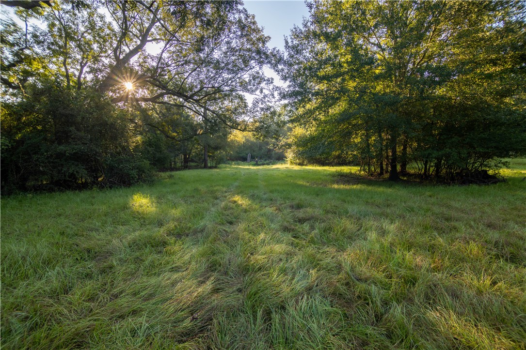 17497-495 Wilson Pasture Road Bryan, TX 77808 - Photo 47 of 50 a view of an outdoor space and a yard