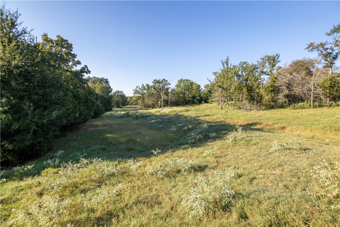 17497-495 Wilson Pasture Road Bryan, TX 77808 - Photo 48 of 50 a view of a field with an trees