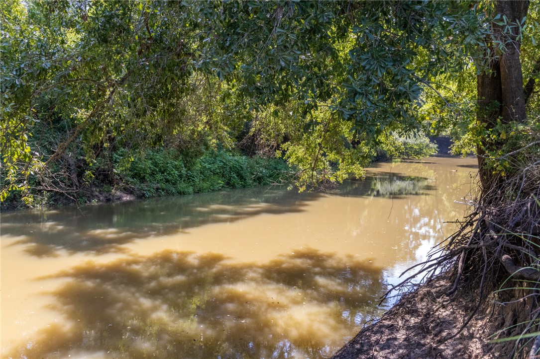 17497-495 Wilson Pasture Road Bryan, TX 77808 - Photo 5 of 50 a view of lake