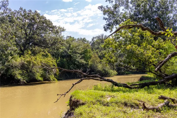 a view of swimming pool from a yard