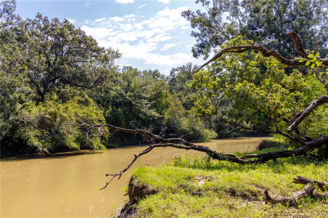 17497-495 Wilson Pasture Road Bryan, TX 77808 - Photo 6 of 50 a view of swimming pool from a yard