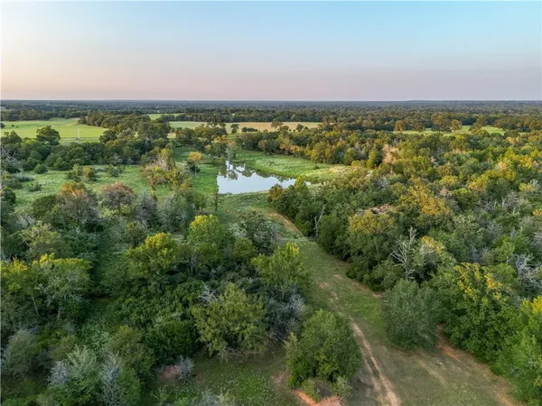 view of a green field with lots of trees